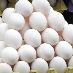 افزایش نرخ نهاده های مرغ علت اصلی بالا رفتن قیمت تخم مرغ است