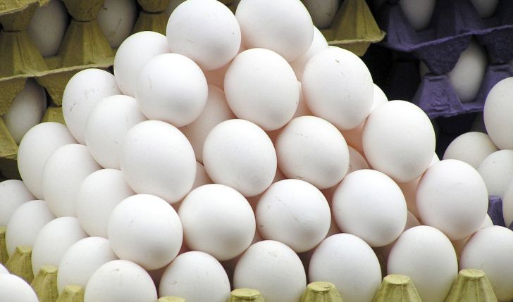 افزایش نرخ نهاده های مرغ علت اصلی بالا رفتن قیمت تخم مرغ است