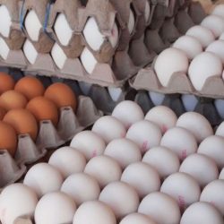 عرضه ۱۰ هزار تن تخم مرغ وارداتی در آذربایجان شرقی