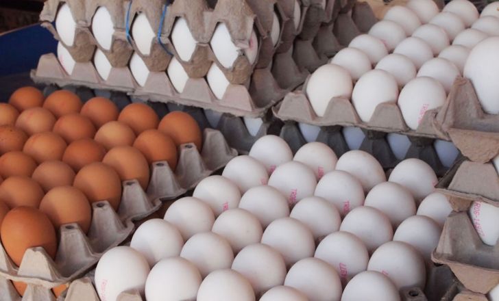 عرضه ۱۰ هزار تن تخم مرغ وارداتی در آذربایجان شرقی